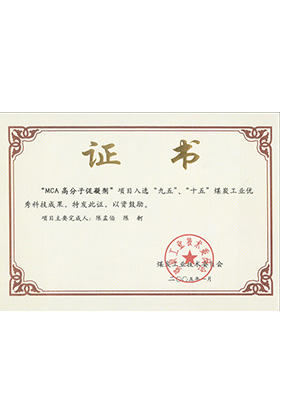 2005年1月MCA高分子促凝劑獲“九五、十五”科技成果獎(jiǎng)